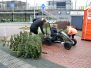 Kerstbomen inzamelen 040119