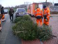 Piet Jonker kerstbomen 2019 (12)