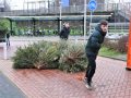 Piet Jonker kerstbomen 2019 (17)