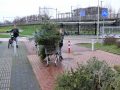 Piet Jonker kerstbomen 2019 (18)