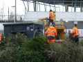 Piet Jonker kerstbomen 2019 (2)