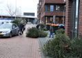 Piet Jonker kerstbomen 2019 (6)