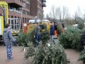 Piet Jonker kerstbomen 2018 (1)