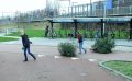 Piet Jonker kerstbomen 2018 (15)