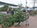 Piet Jonker kerstbomen 2018 (18)