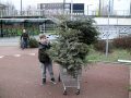 Piet Jonker kerstbomen 2018 (25)