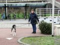 Piet Jonker kerstbomen 2018 (26)