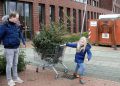 Piet Jonker kerstbomen 2018 (36)