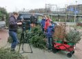 Piet Jonker kersbomen 2018 (42)