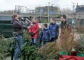 Piet Jonker kersbomen 2018 (43)