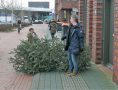 Piet Jonker kersbomen 2018 (45)