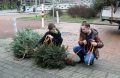 Piet Jonker kersbomen 2018 (61)