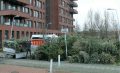 Piet Jonker kersbomen 2018 (63)
