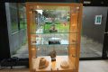 2-Piet-Jonker-weidevenner-kunst-in-stadhuis-24-4
