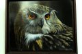 5-Piet-jonker-weidevenner-kunst-monnickendam-12