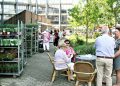 Piet Jonker lentemarkt passtoors (5)