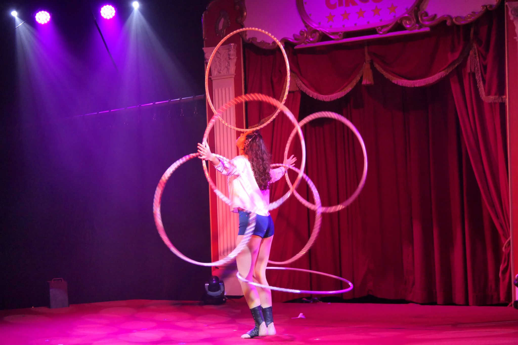 1-weidevenner.nl-circus-13