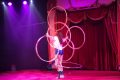 1-weidevenner.nl-circus-13