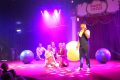 weidevenner.nl-circus-5