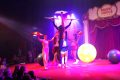 weidevenner.nl-circus-6