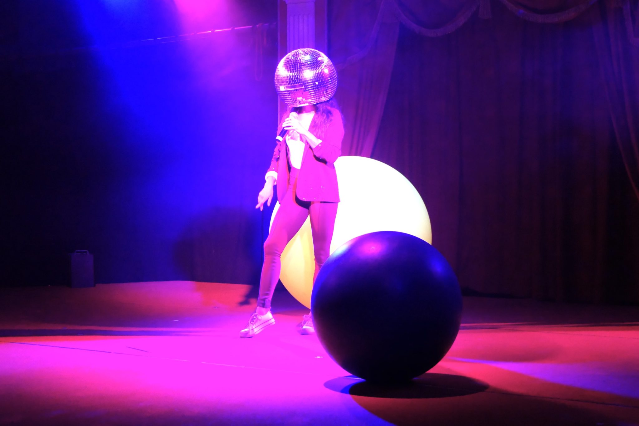 weidevenner.nl-circus-3