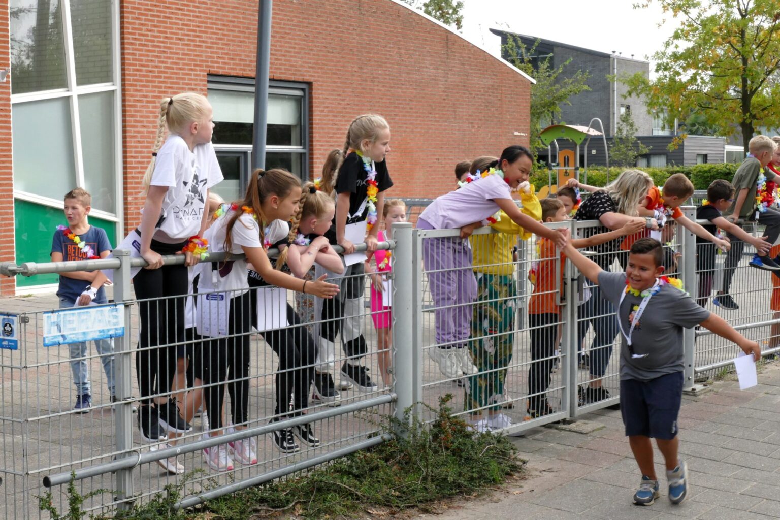 high-five-Piet-Jonker-weidevenner-marimba-30