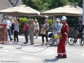 Piet Jonker weidevenner Marktkantoor (43) (Custom)