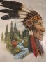 meander-compleet-weidevenner.nl_