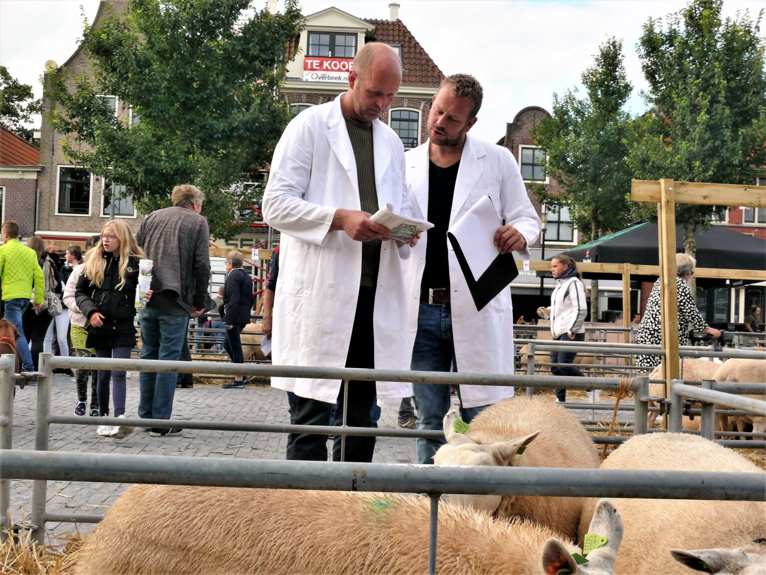 Piet Jonker nazomerfeesten 2019 (49)