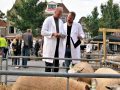 Piet Jonker nazomerfeesten 2019 (49)