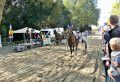 Piet Jonker nazomerfeesten 2019 (53)