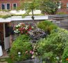 s2-tuin-met-sedum-