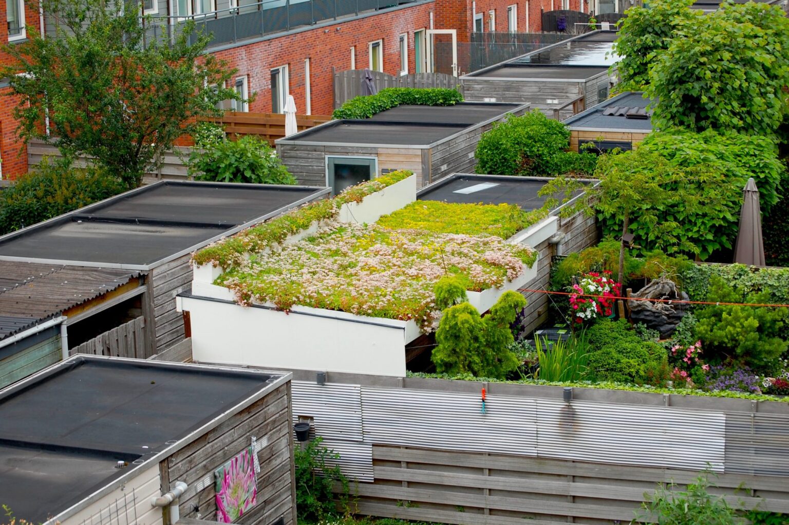 s1-afstand-dak-met-sedum1
