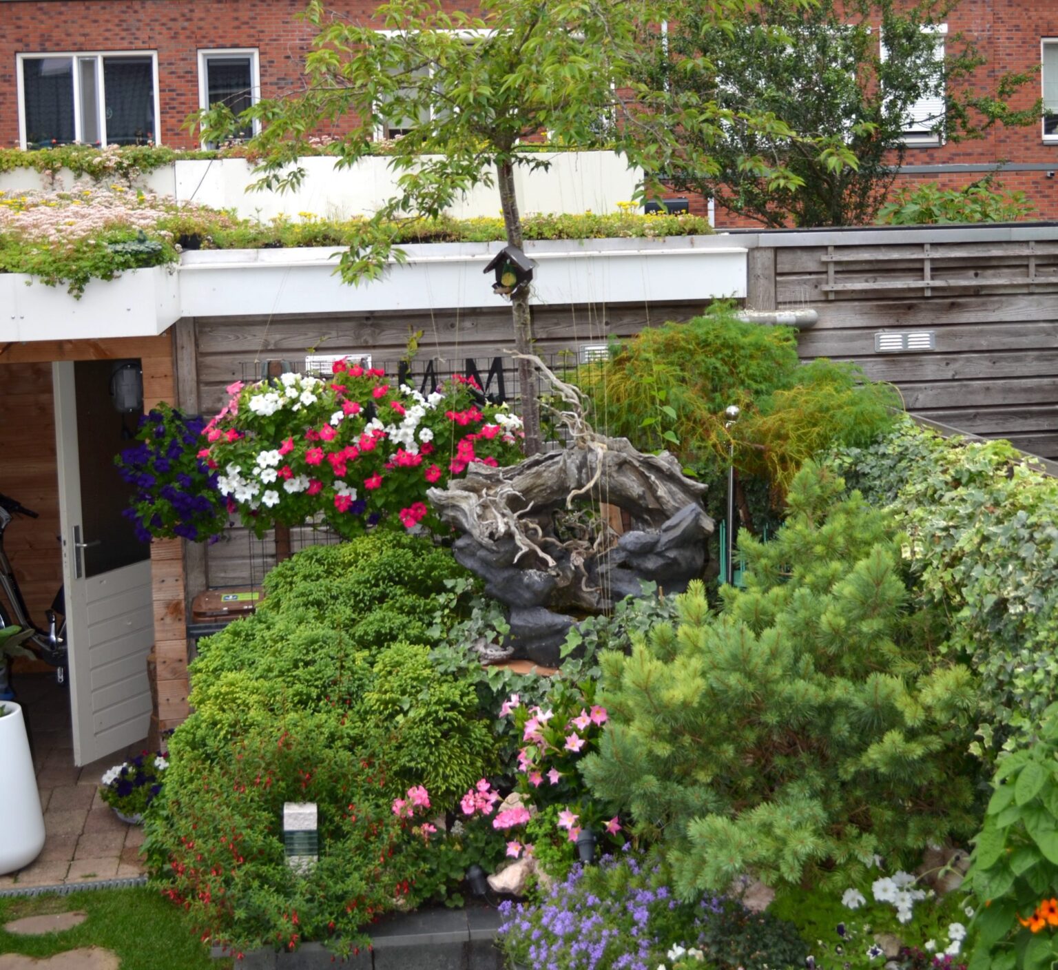 s2-tuin-met-sedum-