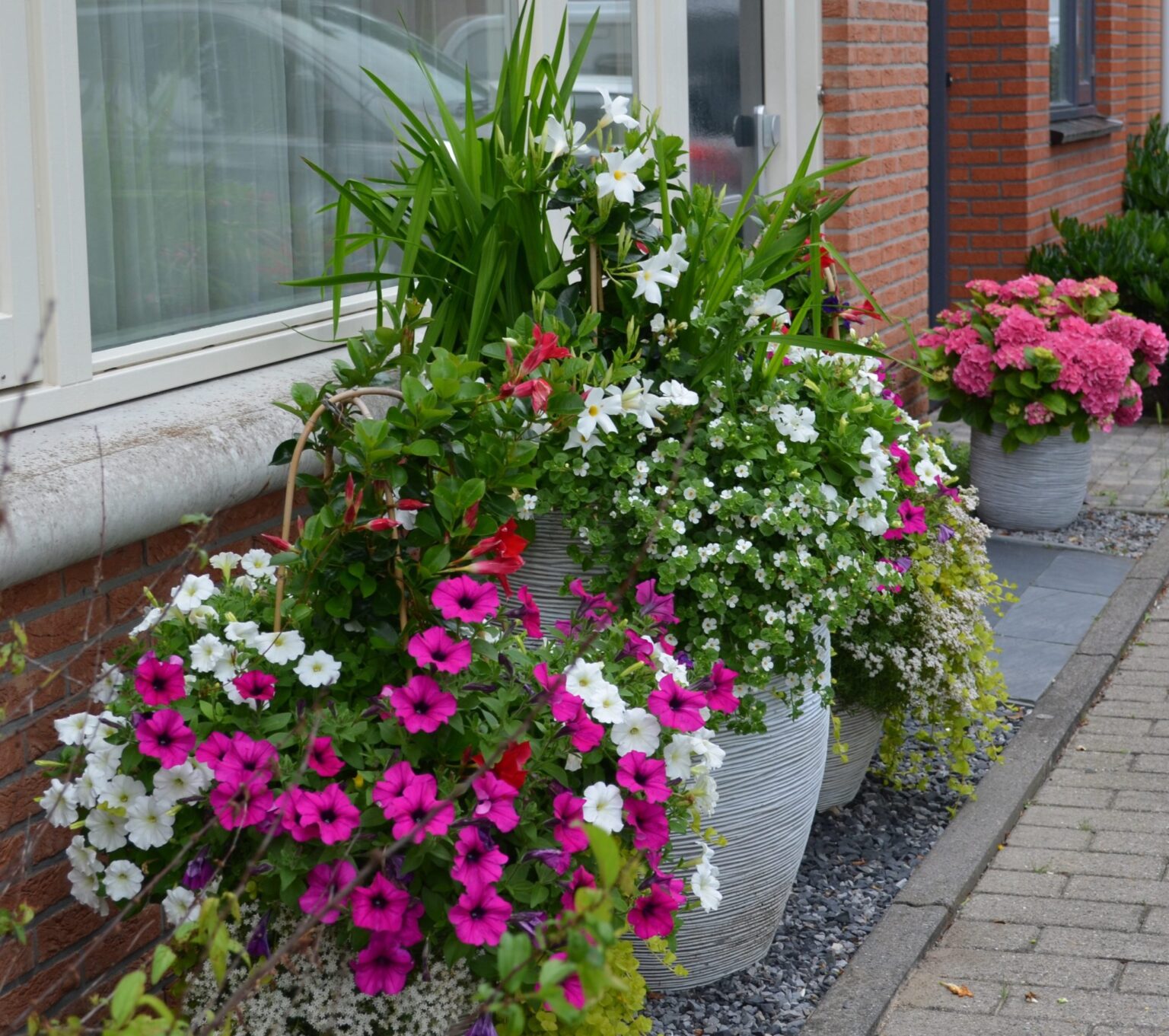 s4-voortuin-mooi