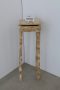 Piet-Jonker-weidevenner.nl-kunsthuis-no-waste-5