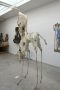 schaap-Piet-Jonker-weidevenner.nl-kunsthuis-no-waste-3