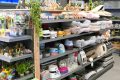 Piet-Jonker-weidevenner-dierenwinkel-1