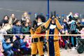 Piet-Jonker-weidevenner-koempoelan-24