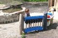 Piet-Jonker-weidevenner.nl-Park-de-Noord-26