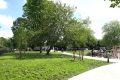 Piet-Jonker-weidevenner.nl-Park-de-Noord-36