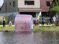 Piet-Jonker-weidevenner.nl-Park-de-Noord-43