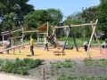 Piet-Jonker-weidevenner.nl-Park-de-Noord-45