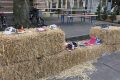 5-schoentje-zetten-weidevenner-