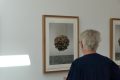 Piet-Jonker-Weidevenner.nl-kunsthuis-25-4-38