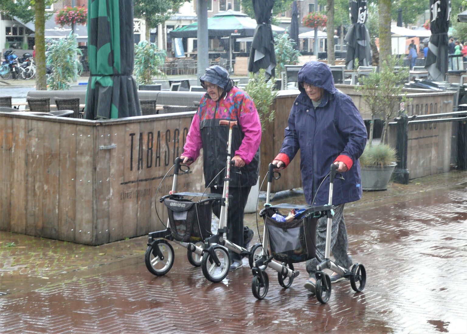Piet Jonker rollatorloop 2019 hoosbui