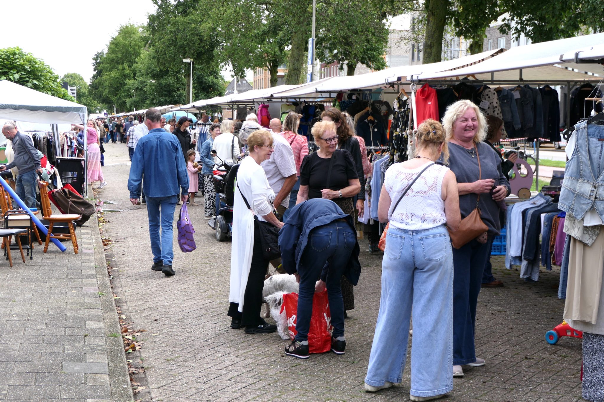 Piet-Jonker-weidevenner.nl-Rommelmarkt-26-19