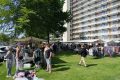 1-Piet-Jonker-weidevenner.nl-wheermolen-rommel-23