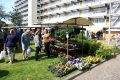 Piet-Jonker-weidevenner.nl-wheermolen-rommel-10