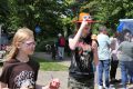 Piet-Jonker-weidevenner.nl-wheermolen-rommel-44